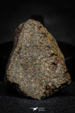 21489 - NWA Unclassified Chondrite Meteorite 14.6g Polished Section