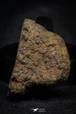 21489 - NWA Unclassified Chondrite Meteorite 14.6g Polished Section