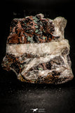 06857 - Beautiful Malachite Crystals on Quartz Matrix