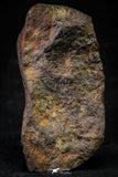 21491 - NWA Unclassified Chondrite Meteorite 126.5g