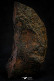 21491 - NWA Unclassified Chondrite Meteorite 126.5g