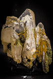 06825 - Top Beautiful 5.84 Inch Barite Crystals - South Morocco