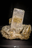 06826 - Huge 5.13 Inch White Barite Crystal - South Morocco