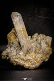 06826 - Huge 5.13 Inch White Barite Crystal - South Morocco