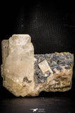 06827 - Huge 4.64 Inch White Barite Crystal - South Morocco