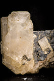 06827 - Huge 4.64 Inch White Barite Crystal - South Morocco