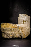 06827 - Huge 4.64 Inch White Barite Crystal - South Morocco