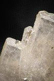 08267 - Top Huge White Barite Crystal 442 g - South Morocco