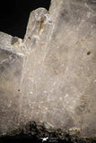 08267 - Top Huge White Barite Crystal 442 g - South Morocco