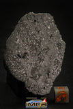 00002 - Rare 58.7g Impact Melt Breccia IMB Polished Section Chondrite Meteorite