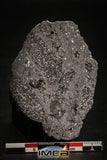 00002 - Rare 58.7g Impact Melt Breccia IMB Polished Section Chondrite Meteorite