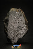 00002 - Rare 58.7g Impact Melt Breccia IMB Polished Section Chondrite Meteorite