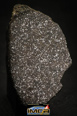 00004 - Top Beautiful 38.6g NWA Unclasified Enstatite Chondrite Polished Section