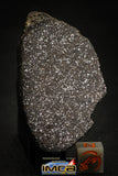 00004 - Top Beautiful 38.6g NWA Unclasified Enstatite Chondrite Polished Section