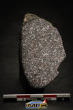 00004 - Top Beautiful 38.6g NWA Unclasified Enstatite Chondrite Polished Section