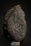 00004 - Top Beautiful 38.6g NWA Unclasified Enstatite Chondrite Polished Section