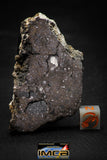 00008 - Rare 46.8g NWA Unclassified Chondrite L4 Polished Section Meteorite