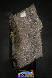 00009 - Top Beautiful 16.2g NWA Unclassified Chondrite Polished Section Meteorite