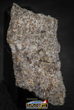 00009 - Top Beautiful 16.2g NWA Unclassified Chondrite Polished Section Meteorite