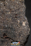 00010 - Beautiful 26.6g NWA Unclassified Carbonaceous Chondrite Polished Section