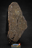 00014 - Beautiful 32.5g NWA Unclassified Carbonaceous Chondrite Polished Section