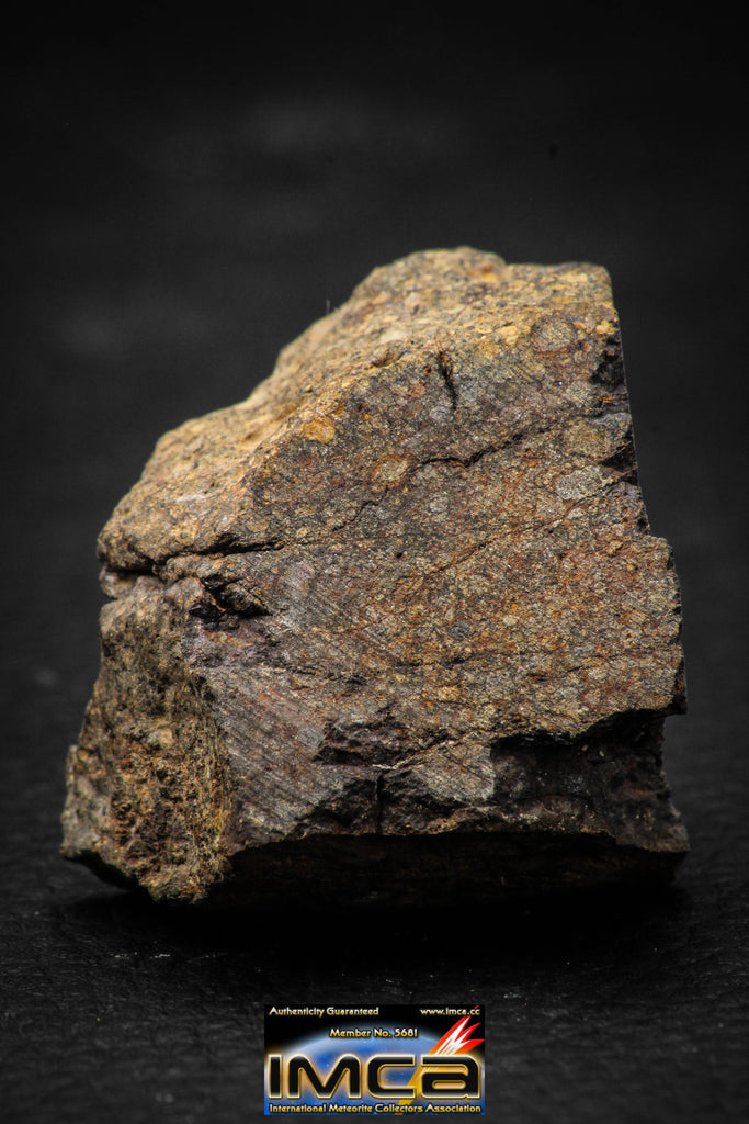 00015A - NWA Unclassified Chondrite LL3 Meteorite 51.8g Polished Section