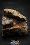 00015A - NWA Unclassified Chondrite LL3 Meteorite 51.8g Polished Section