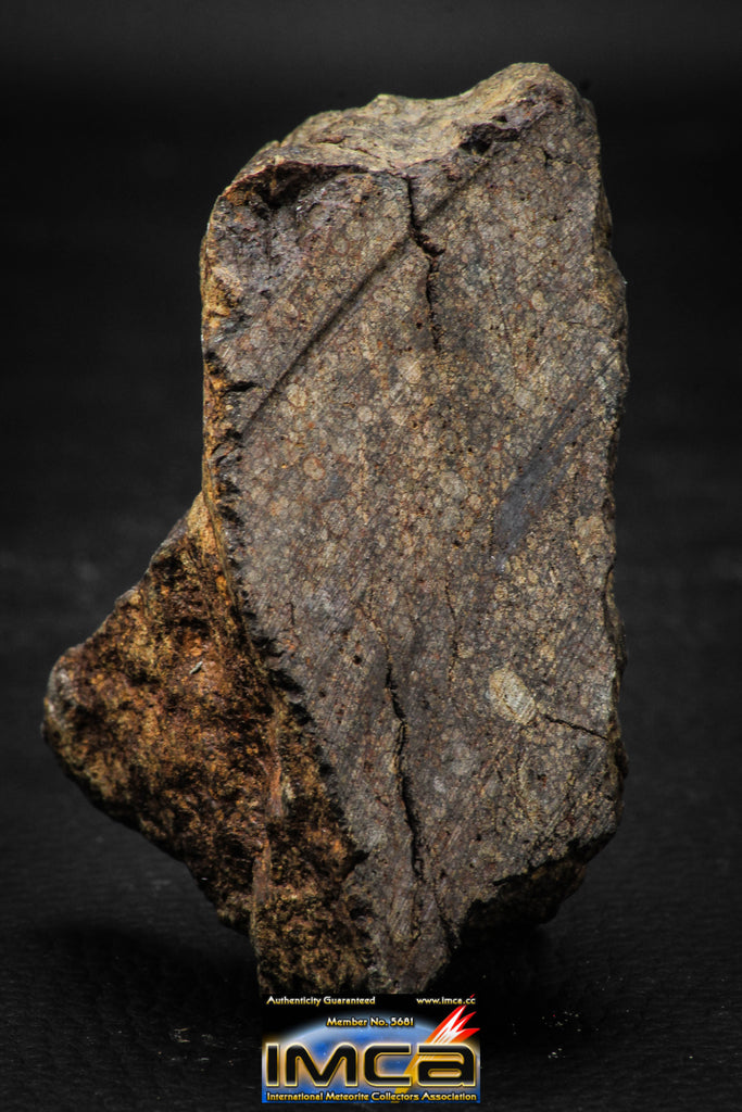 00015B - NWA Unclassified Chondrite LL3 Meteorite 186.3g Polished Section