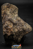 00015B - NWA Unclassified Chondrite LL3 Meteorite 186.3g Polished Section