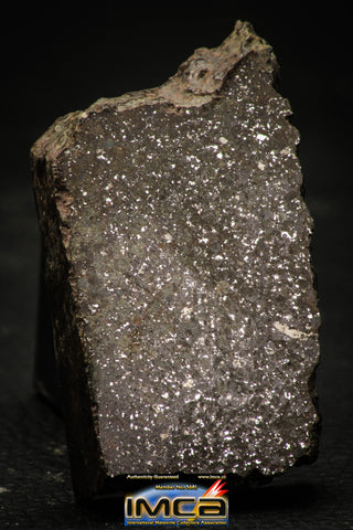 21459 - NWA Unclassified Chondrite H Meteorite 76.3g Polished Section