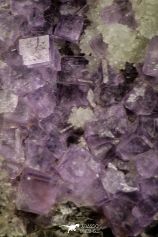 21683 - Museum Grade Purple Fluorite Crystals on Matrix Tounfit Fluorite Mine Morocco