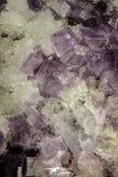 21683 - Museum Grade Purple Fluorite Crystals on Matrix Tounfit Fluorite Mine Morocco