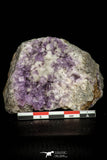 21683 - Museum Grade Purple Fluorite Crystals on Matrix Tounfit Fluorite Mine Morocco