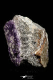 21683 - Museum Grade Purple Fluorite Crystals on Matrix Tounfit Fluorite Mine Morocco