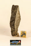 Laurent Lode Order - Lot of Fossils & Meteorites