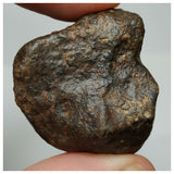 Lot of NWA Ordinary Chondrite Meteorites - Davgalev Order