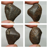 Lot of NWA Unclassified Ordinary Chondrite Meteorites - Order (143938258755)