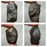 Lot of NWA Unclassified Ordinary Chondrite Meteorites - Order (143938258755)