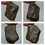 Lot of NWA Unclassified Ordinary Chondrite Meteorites - Order (143938258755)