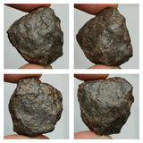 Lot of NWA Unclassified Ordinary Chondrite Meteorites - Order (143938258755)