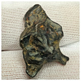 10504 - New Pallasite Meteorite "NWA 14208" (Provisional) 8.39g