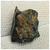 10515 - New Pallasite Meteorite "NWA 14208" (Provisional) 3.83g