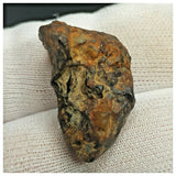 10516 - New Pallasite Meteorite "NWA 14208" (Provisional) 14.19g