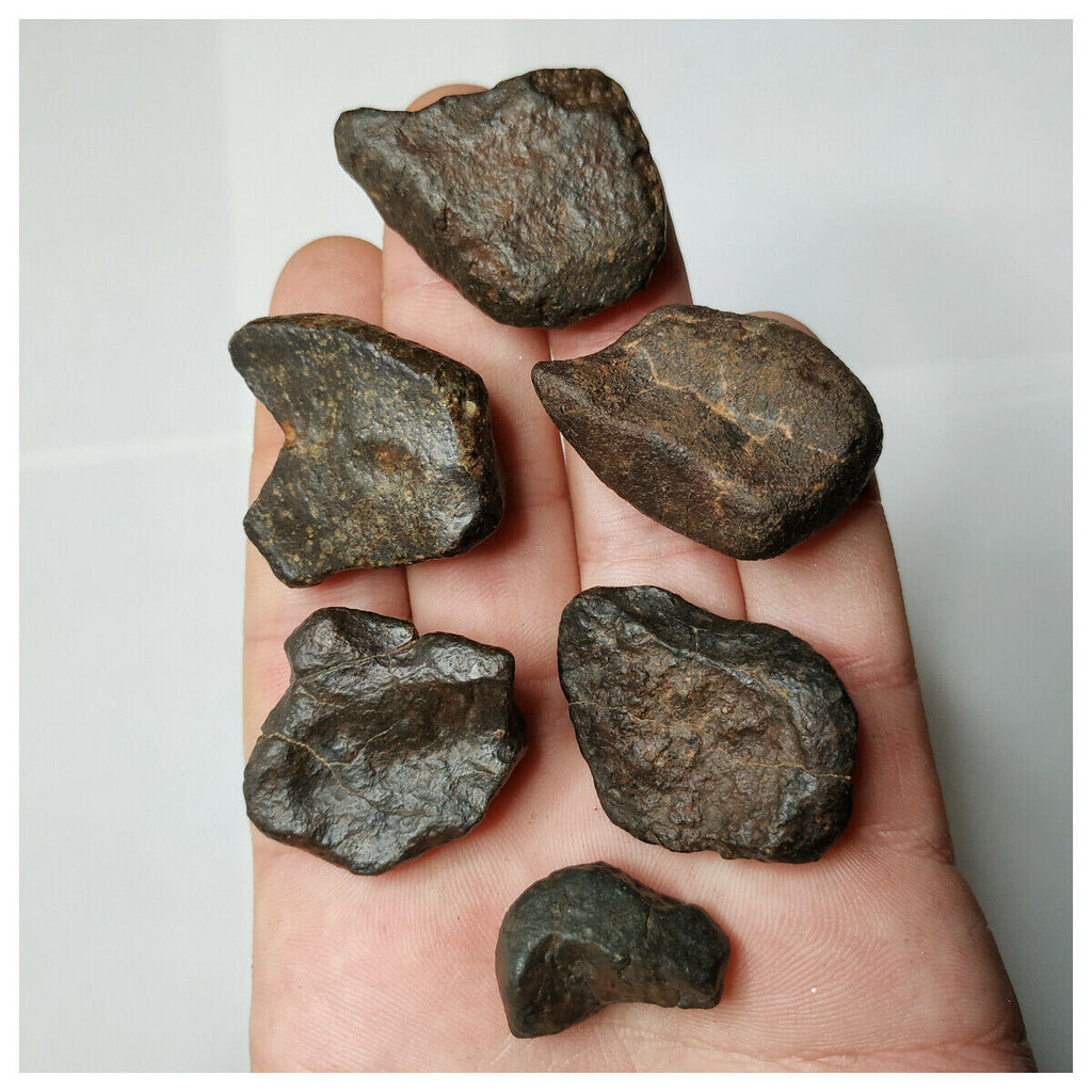 H11 - Lot of 6 Nice Complete NWA Unclassified Ordinary Chondrite Meteorites 104g(143932165595)