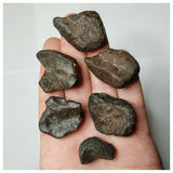 H11 - Lot of 6 Nice Complete NWA Unclassified Ordinary Chondrite Meteorites 104g(143932165595)