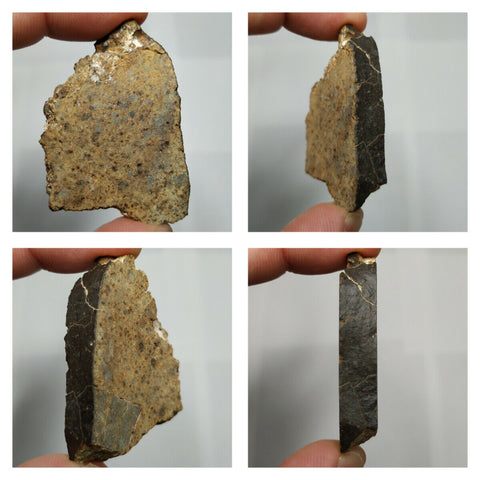 N4, N13 & T108  2 Complete Oriented NWA 859 TAZA Iron Plessitic Octahedrite Meteorites + New NWA 13472 LL4-6 Ordinary Chondrite Meteorite 30g - Mohammed Order