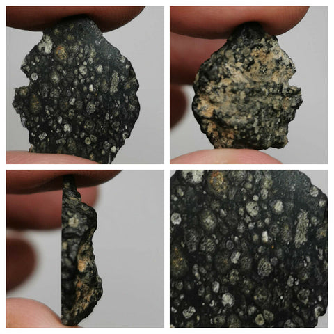 Tarda C2 Ung 0.51g + 1.70g NWA 13258 CV3 Carbonaceous Chondrite Meteorite - Order Davis