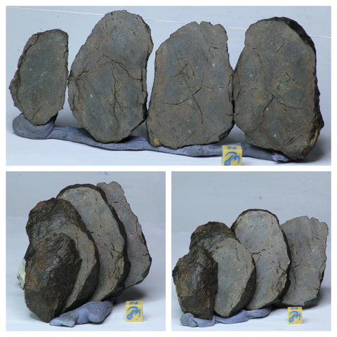 L246 - Whole NWA Chondrite Meteorite Cut Into 4 Thick Slices 312.8g Prob Type L6  - Kouga Order