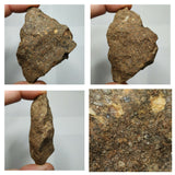 Lot of NWA Ordinary Chondrite Meteorites - Davgalev Order